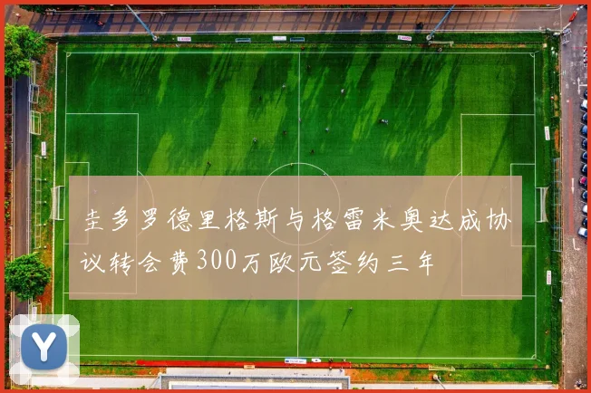 圭多罗德里格斯与格雷米奥达成协议转会费300万欧元签约三年