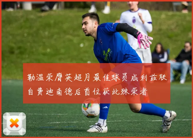 勒温荣膺英超月最佳球员成利兹联自费迪南德后首位获此殊荣者